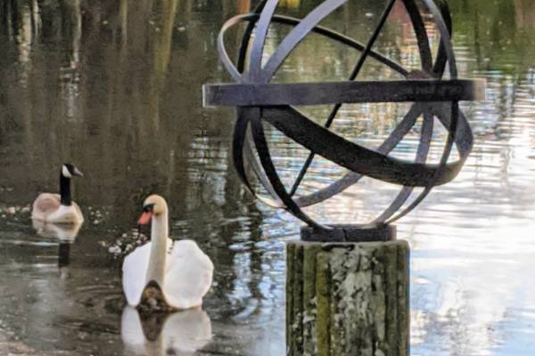 Brass Border Sundials